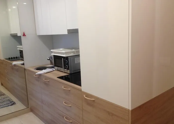 Haus Karnten Apartment